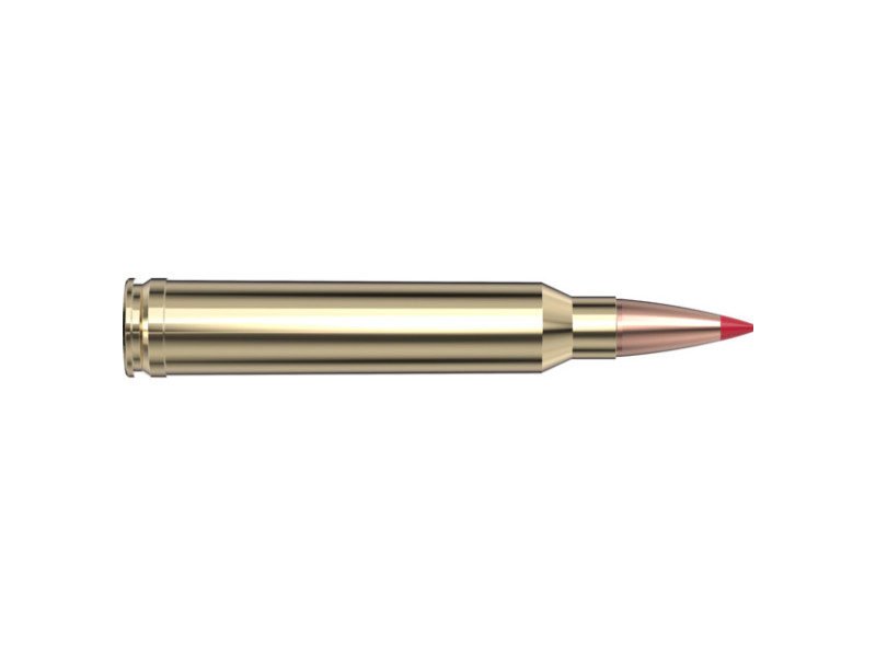 .300 Win. Mag. Hornady Precision Hunter ELD-X 178 gr / 11,5 g