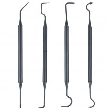 Vector 4 Cleaning Picks