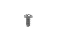 Eemann Tech Torx-Griffschalenschrauben für 1911 (4 Stück) – Silber Eemann Tech Torx-Griffschalenschrauben für 1911 (4 Stück) – Silber