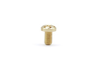 Eemann Tech Torx-Griffschalenschrauben für 1911 (4 Stück) – Gold Eemann Tech Torx-Griffschalenschrauben für 1911 (4 Stück) – Gold