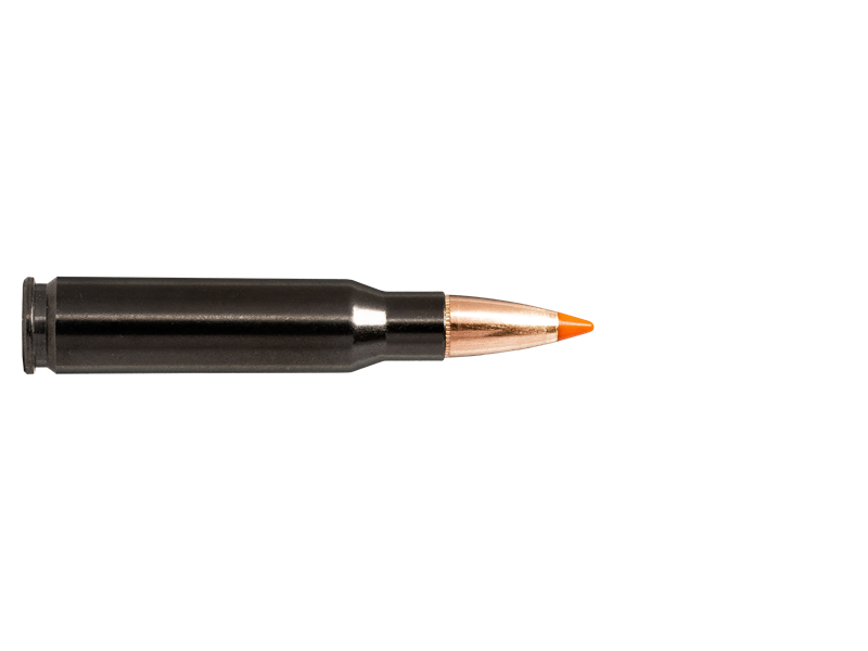 .308 win Norma Silencer Tip Strike 11,0g/170grn