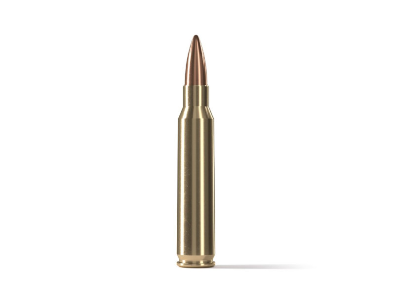 .223 Rem 55gr FMJ STV