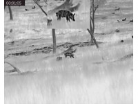 Hikmicro Stellar SH35 thermal scope