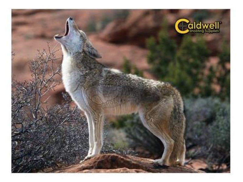 Caldwell “The Natural Series” Coyote Target