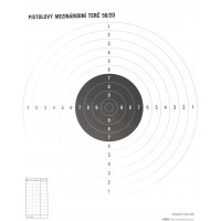 Target Pistol International 50/20
