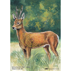 Target - Roe deer