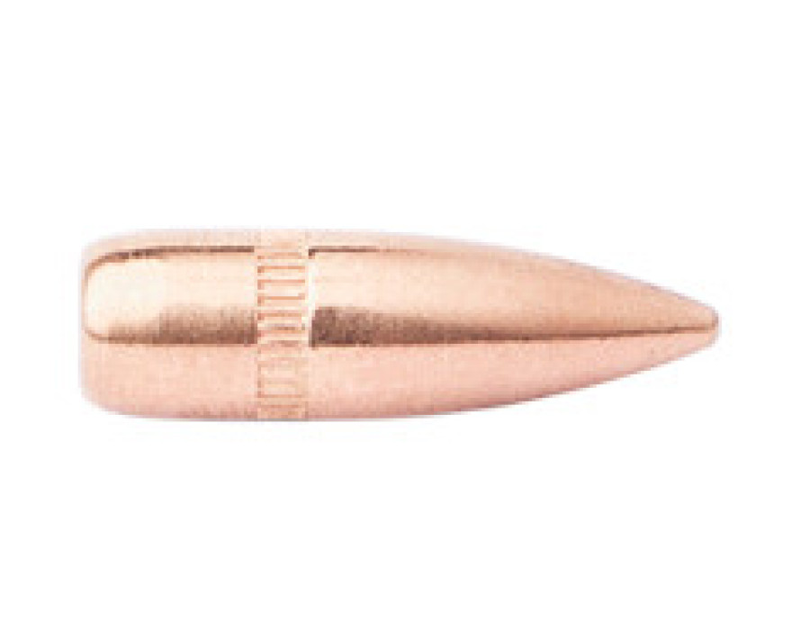 Bullet .224 55gr CamPro FMJ SBT