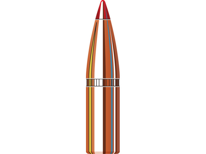 Bullet Hornady .243 95gr SST