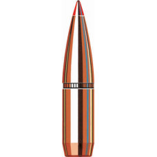 Strela Hornady .284 (7mm) 162gr SST