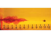 9x18mm Makarov Hornady Critical Defense FTX 95gr 9x18mm Makarov Hornady Critical Defense FTX 95gr