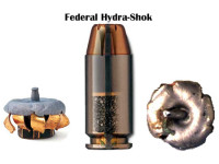 9mm Luger Federal Hydra-Shock 124gr/8g