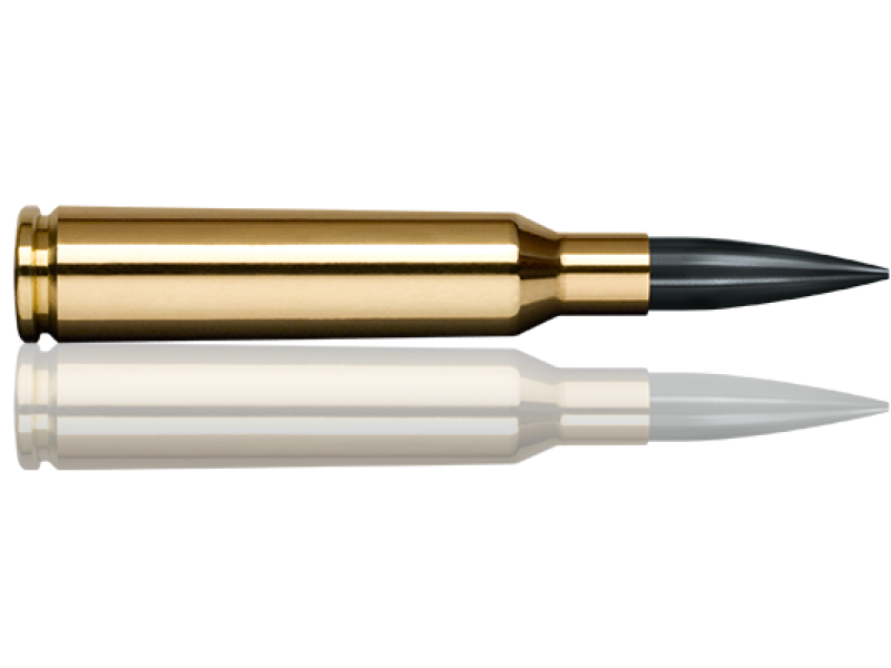 6,5x55 SE Norma Diamond Line 130gr/8,4g